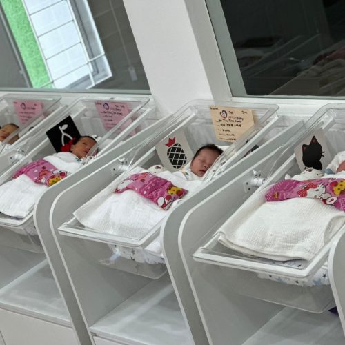 2662e768 9586 444f 98ec 56e918255662